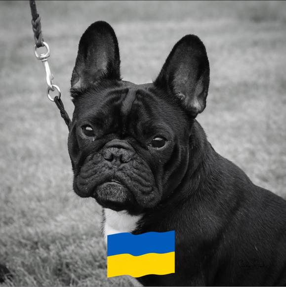 Meet your Posher, Christine - Picture 1 of 1